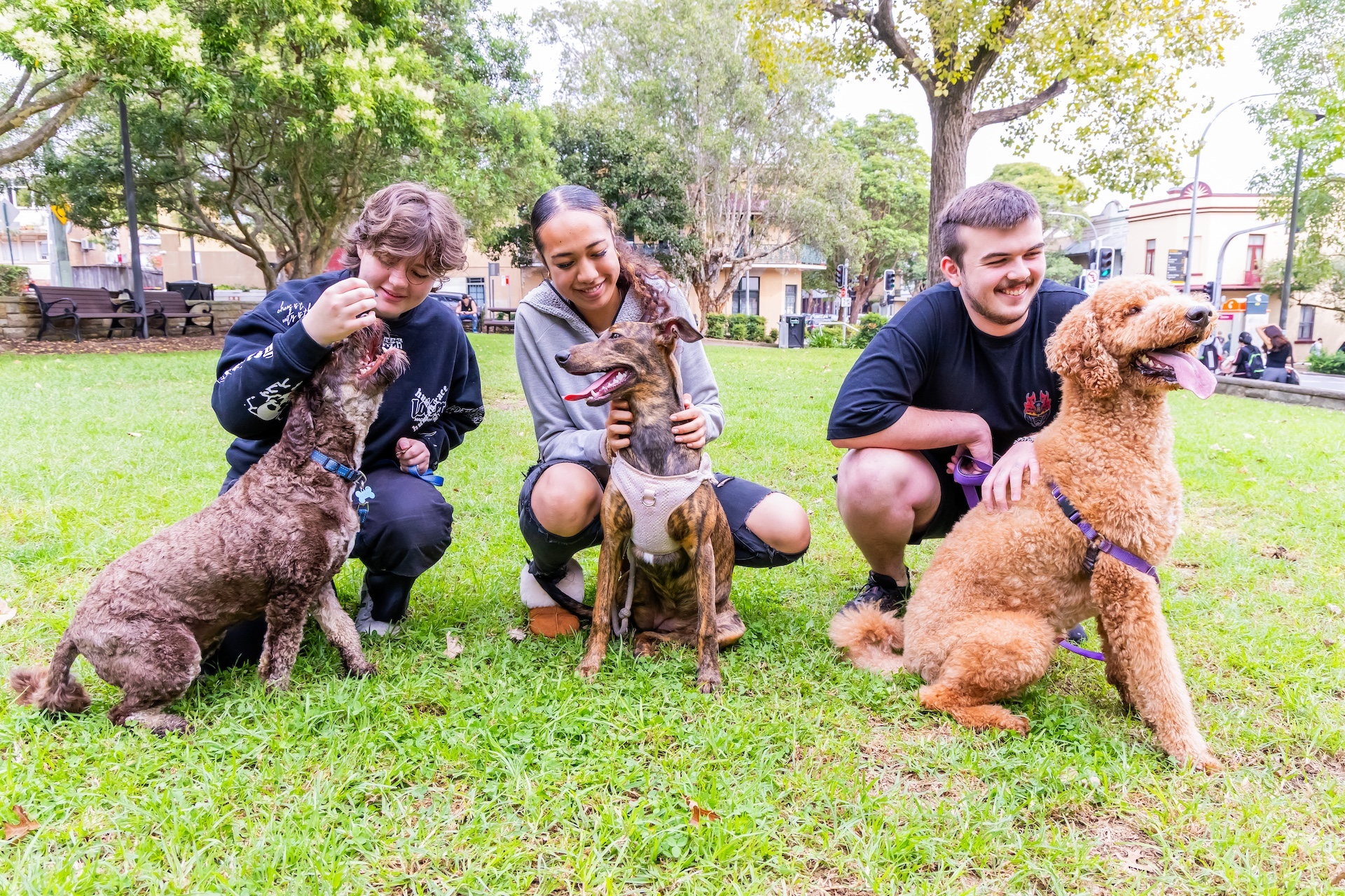 Three young people play with pets at a park