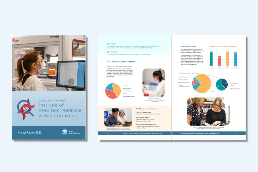 Graphic of IPMB annual report layout