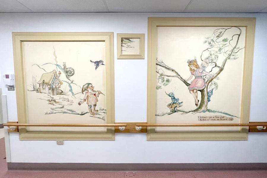 1950 Pixie O'Harris Artwork Collection displayed on the hospital walls